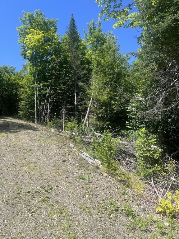 Picture 5
