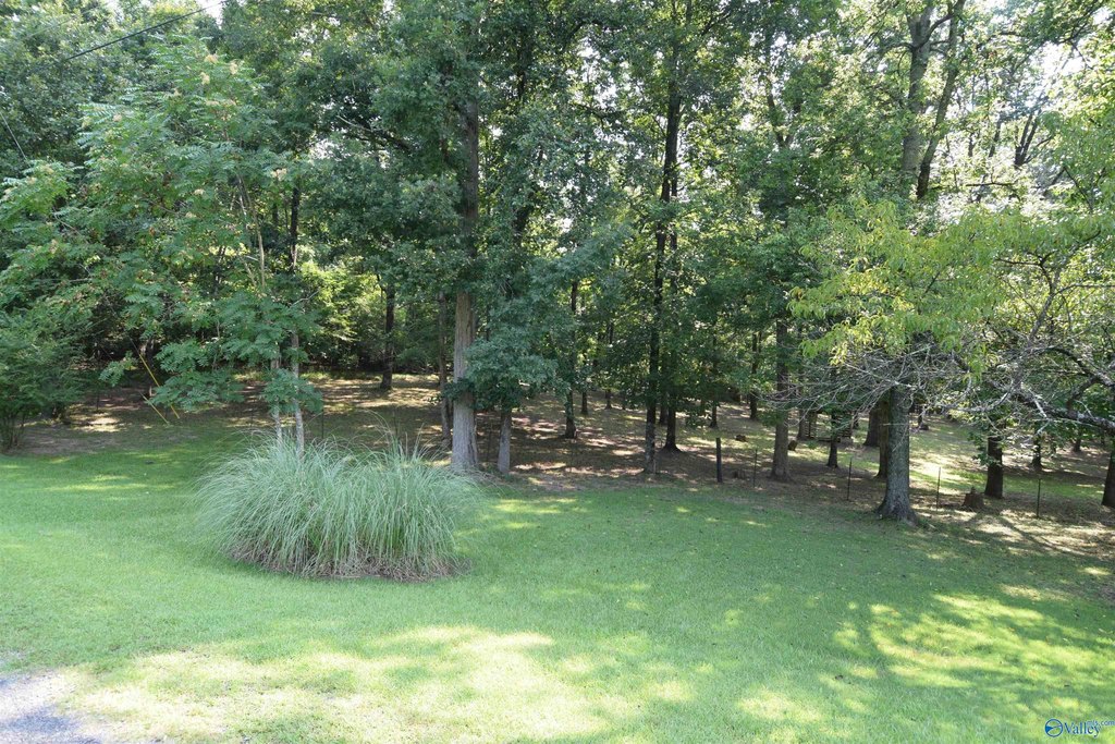 Picture 16