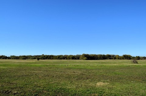 Beautiful 15 Acres in Mabank