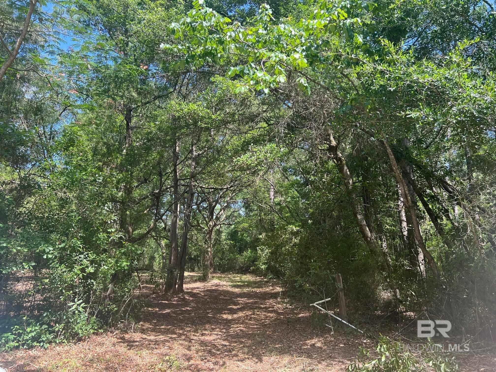Wooded Lot Overlooking Fish River