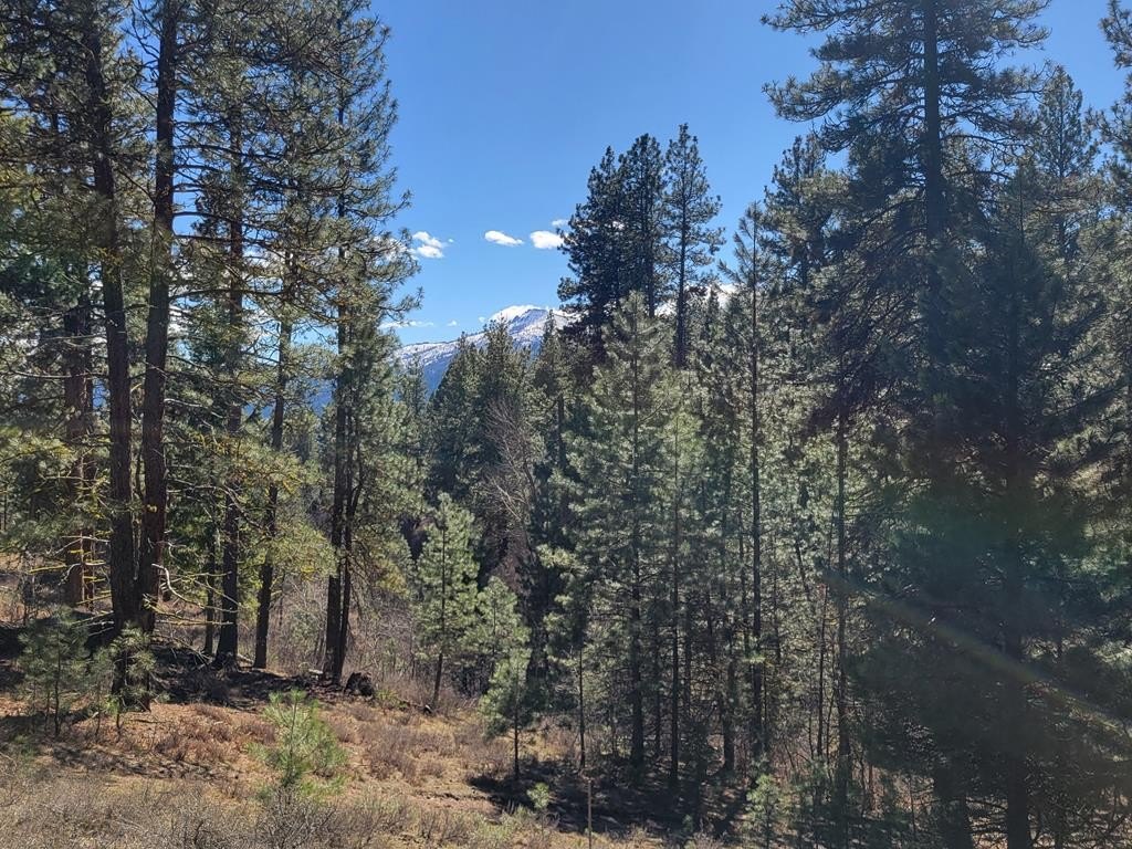 Land Adjacent to Public Lands