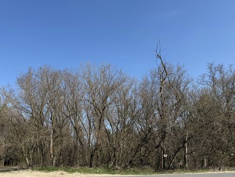 One-Acre Wooded Lot in Malone