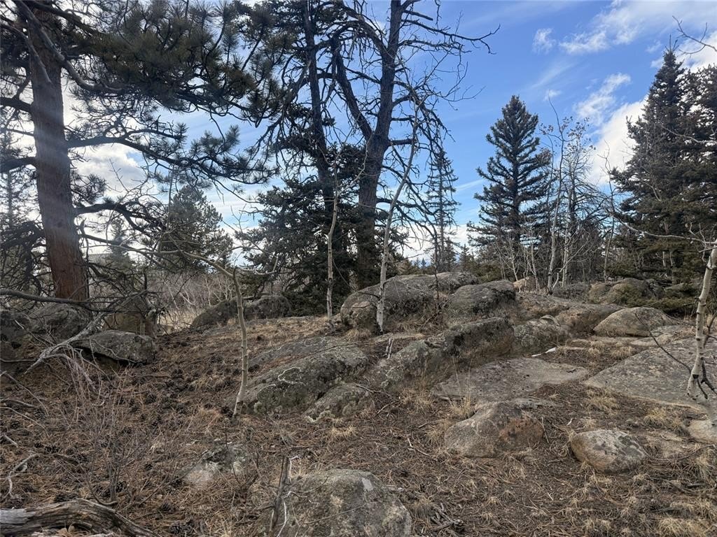 Picture 23