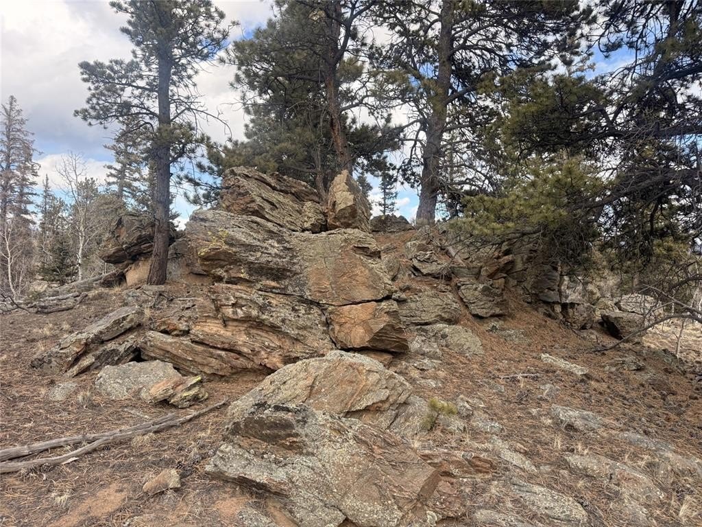Picture 19