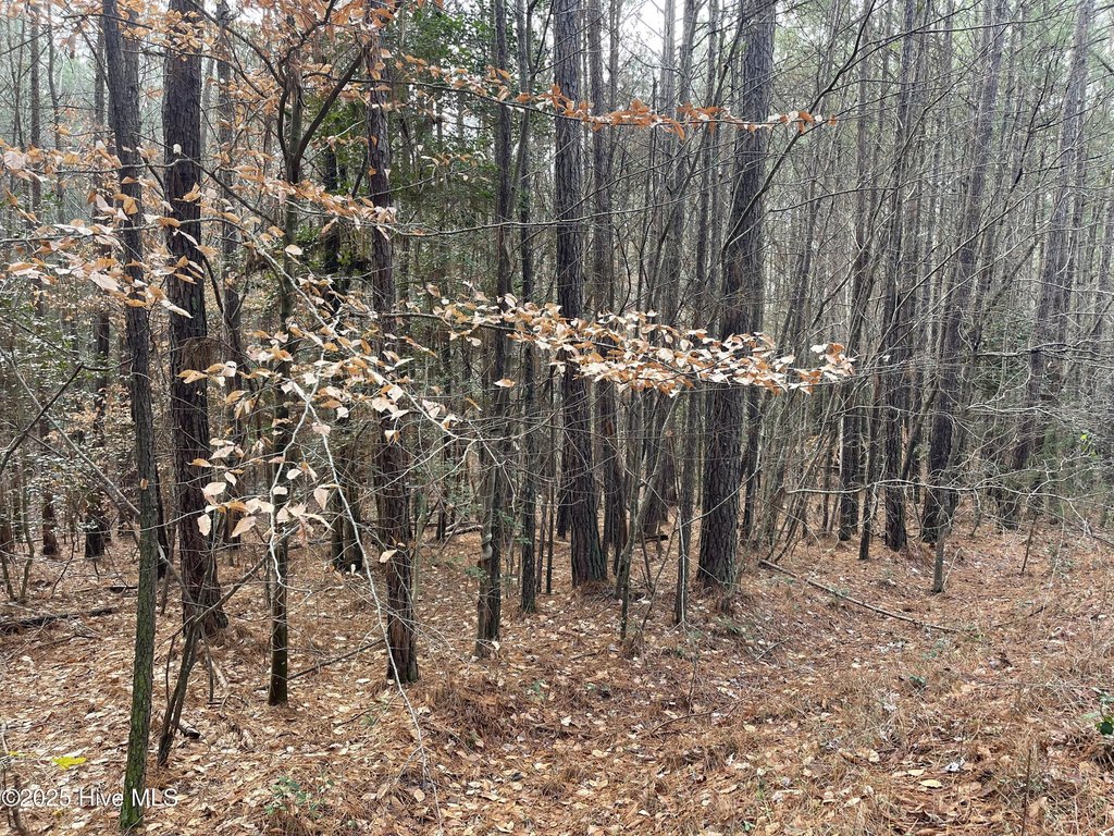 Picture 16
