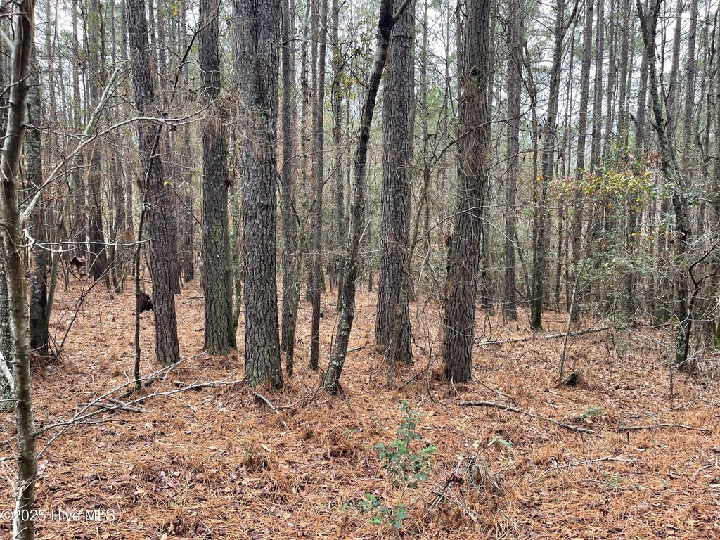 Picture 6