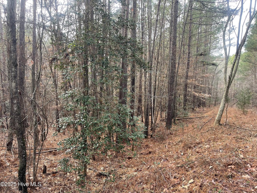 Picture 19
