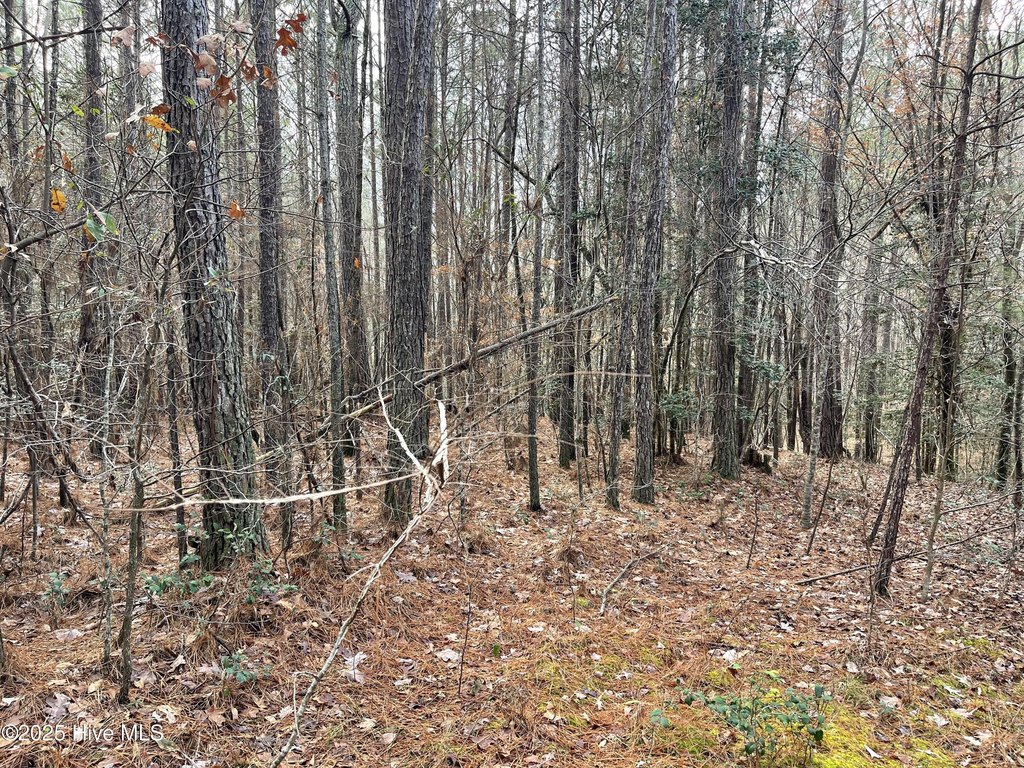 Picture 12