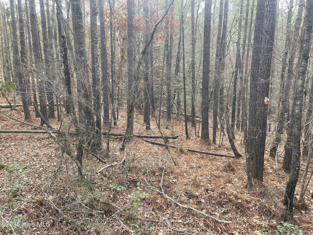 Picture 17