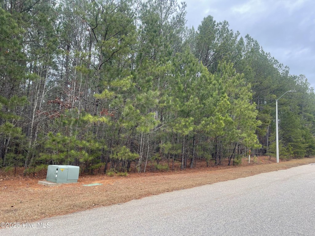 Picture 20