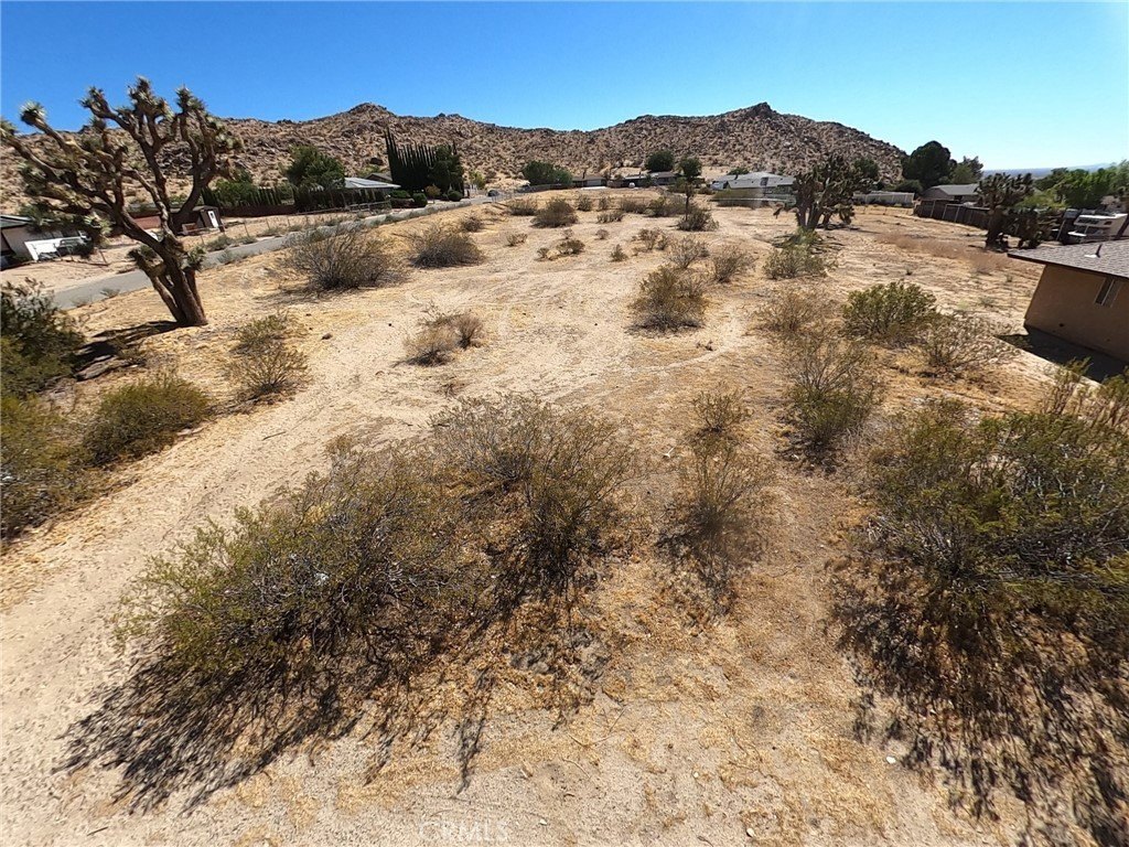 Picture 9