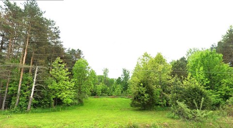 Vacant Land in Flushing, MI