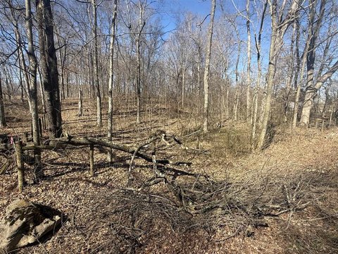 Wooded Acreage Near Glasgow