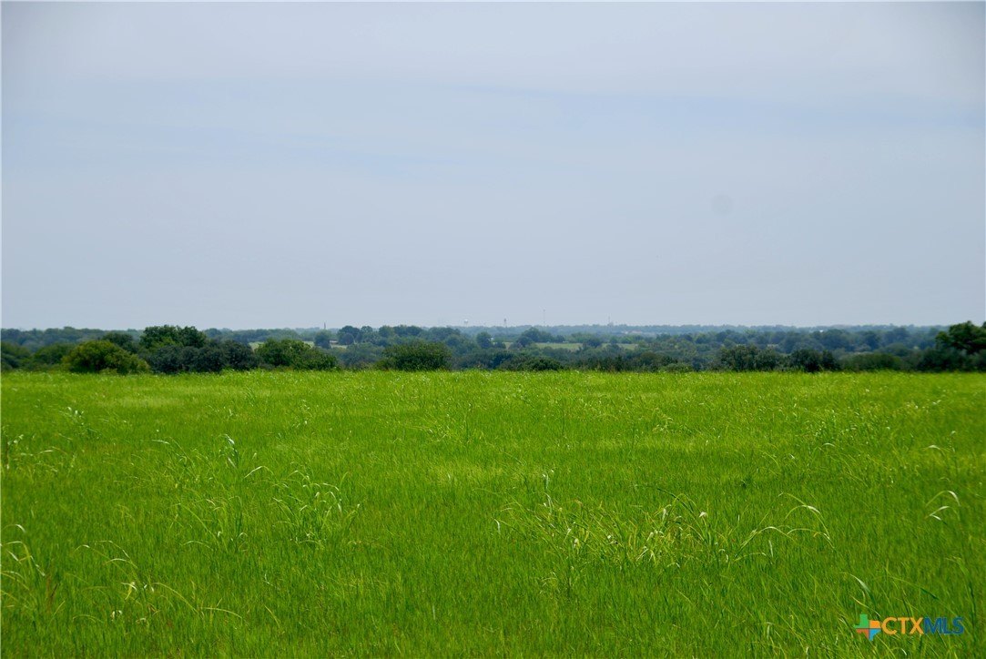 8 Acres Ready for Building