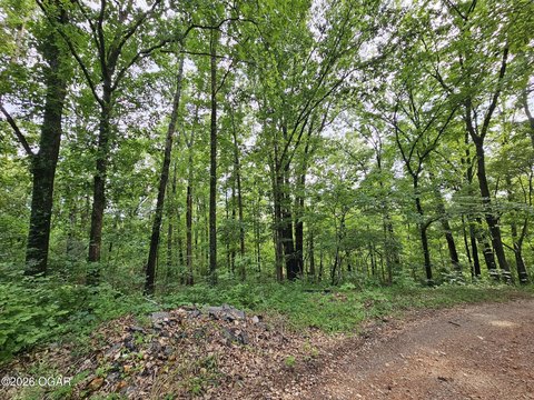 Pineville, Missouri Wooded Land
