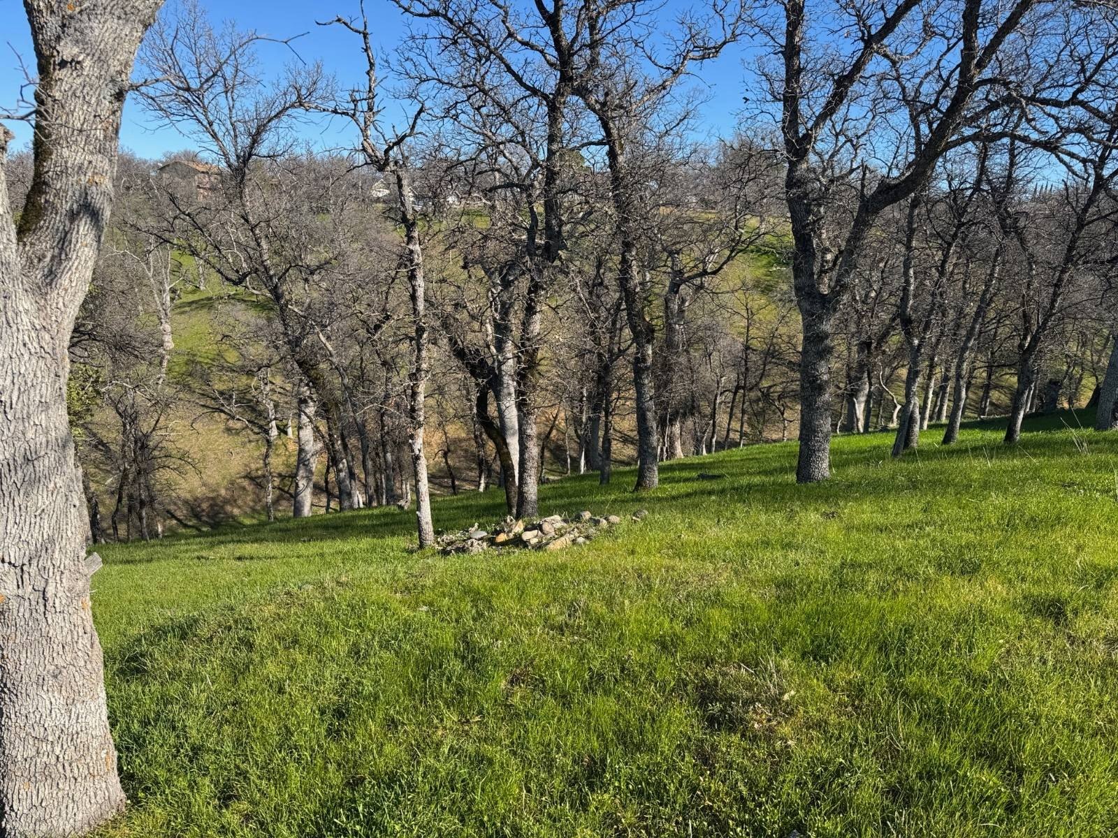 Vacant Land in Gated Community