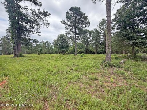 Land, Lucedale, MS