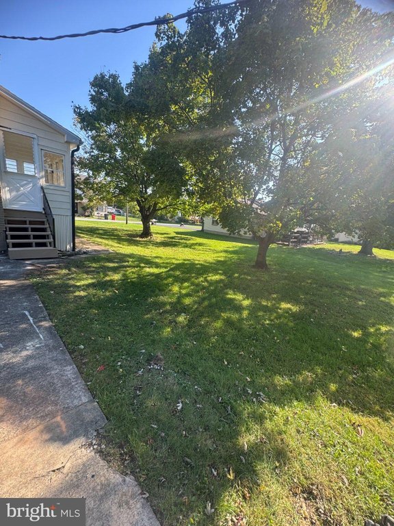 Picture 21
