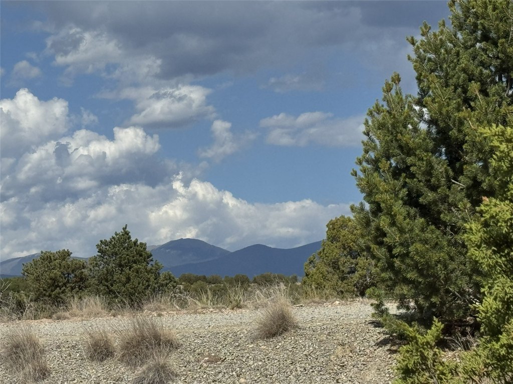 Picture 7