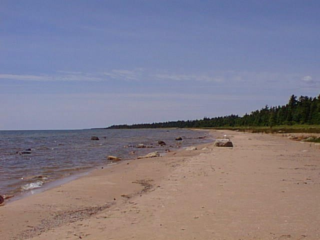 Picture 2