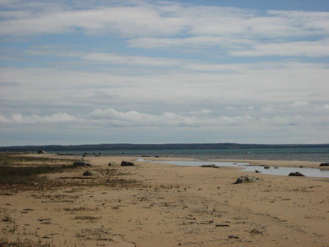 Picture 4