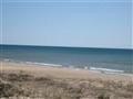 LAND - NAUBINWAY, MI