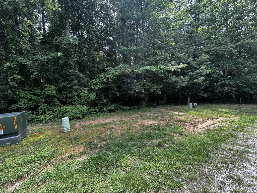 Picture 14