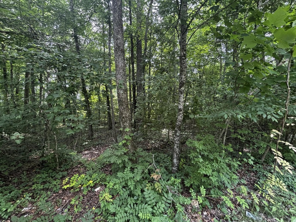 Picture 11