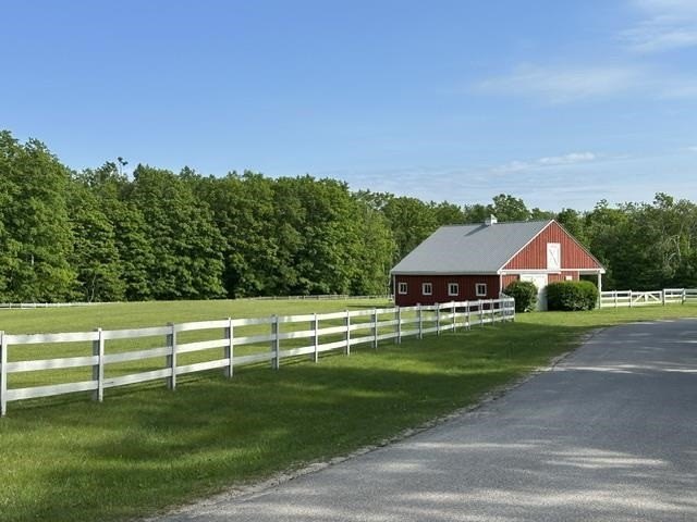 Picture 7