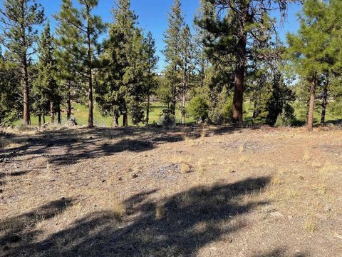 Land, Weed, CA