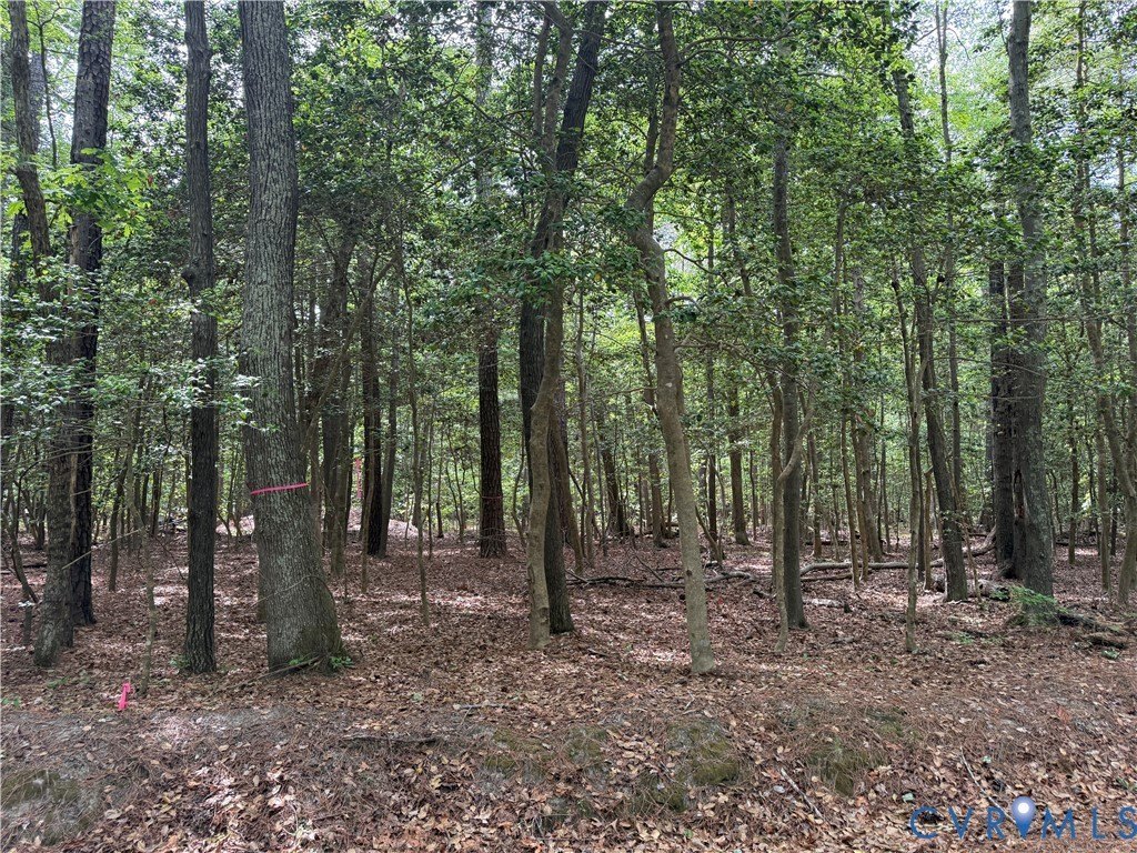 Picture 14