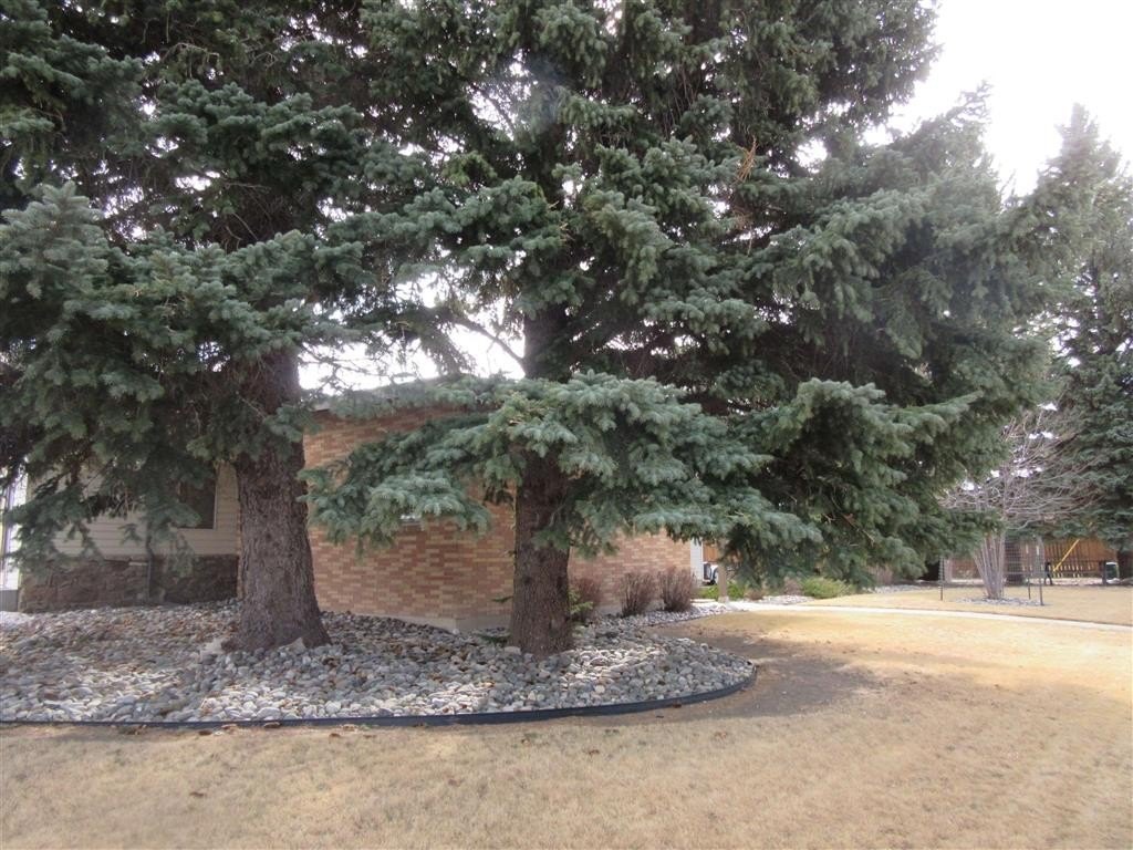 Picture 8