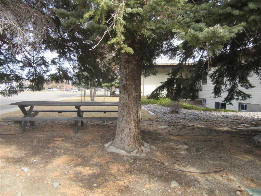 Picture 11