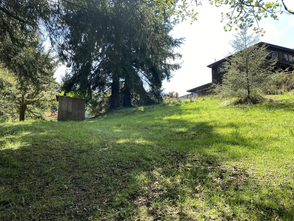 Picture 15