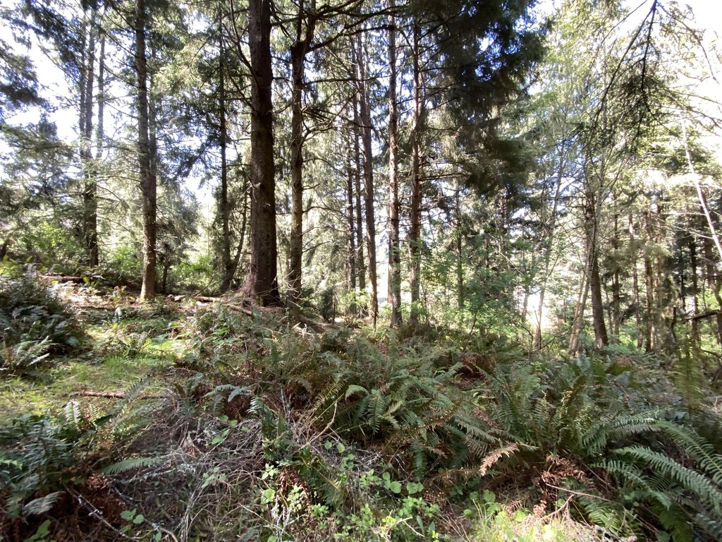 Picture 20