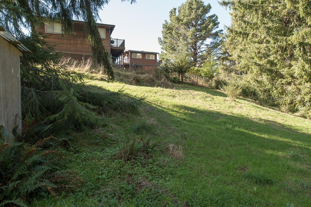Picture 5