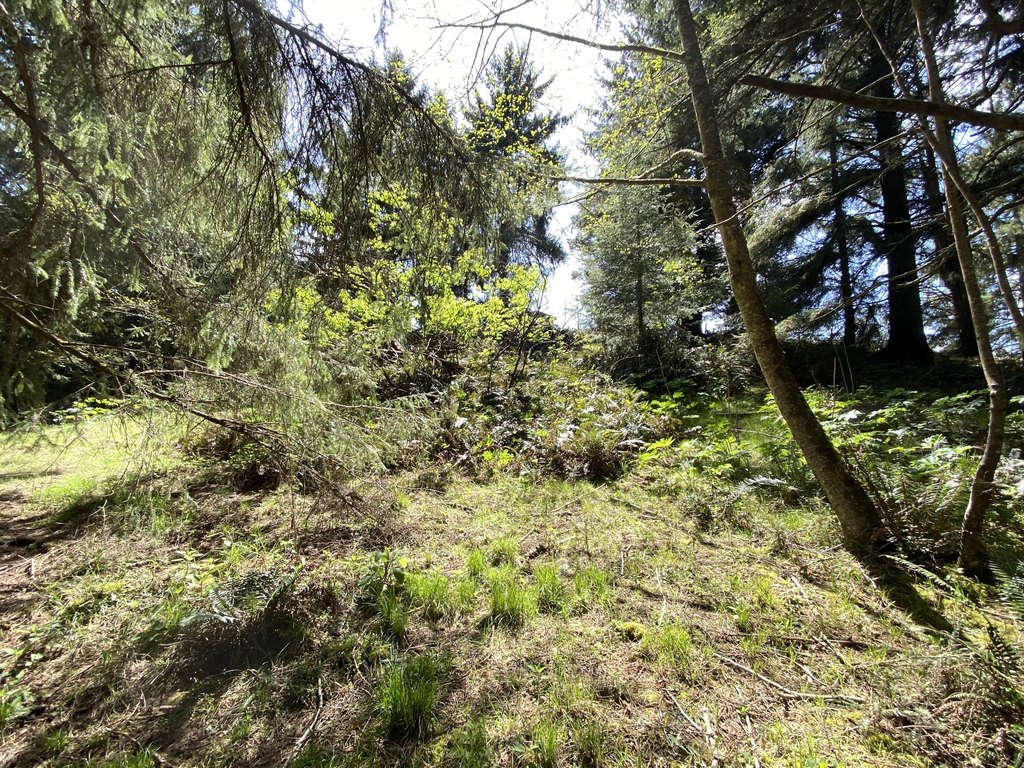 Picture 17