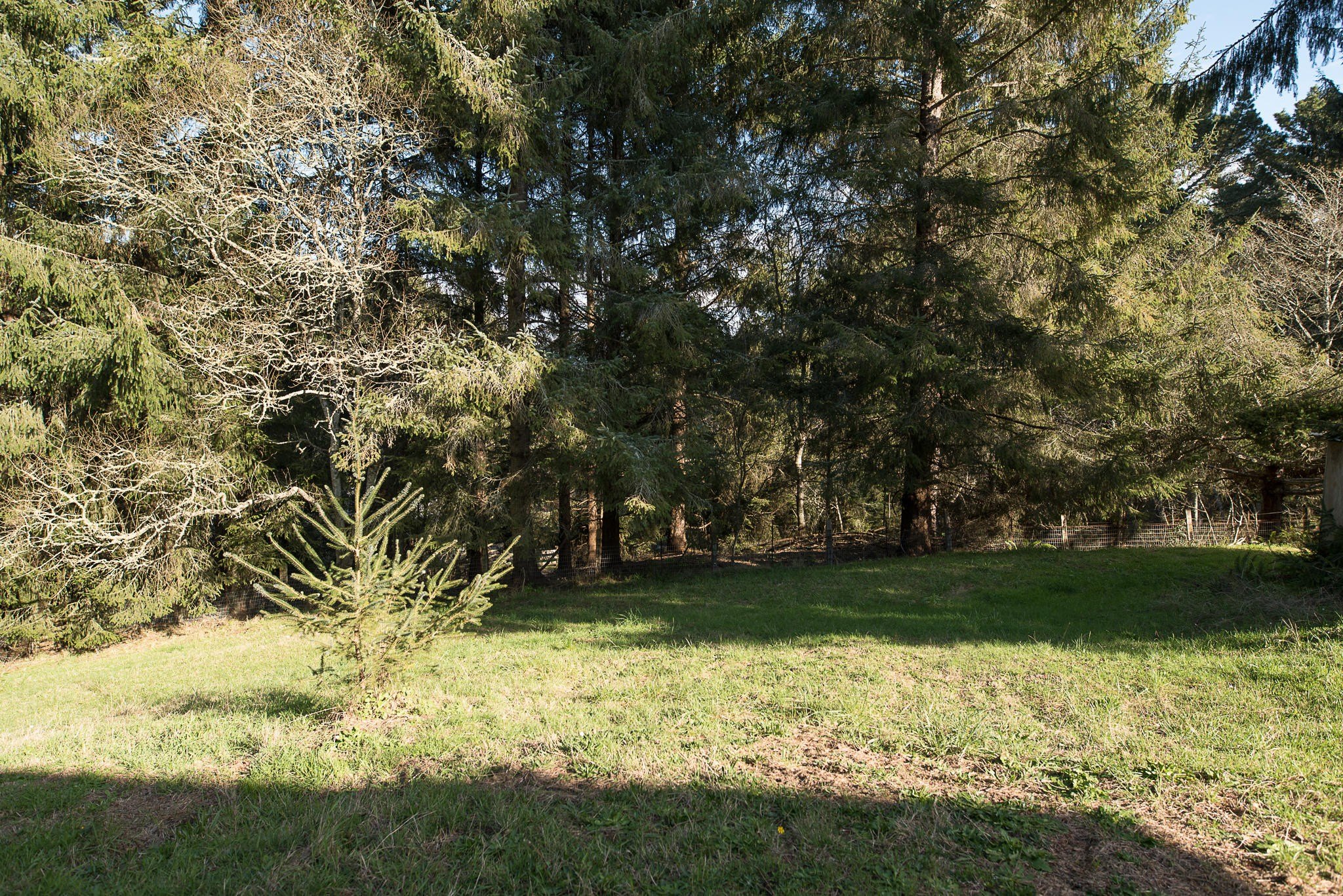 Eureka Land with Development Potential