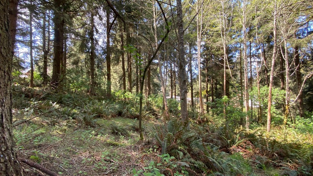 Picture 25