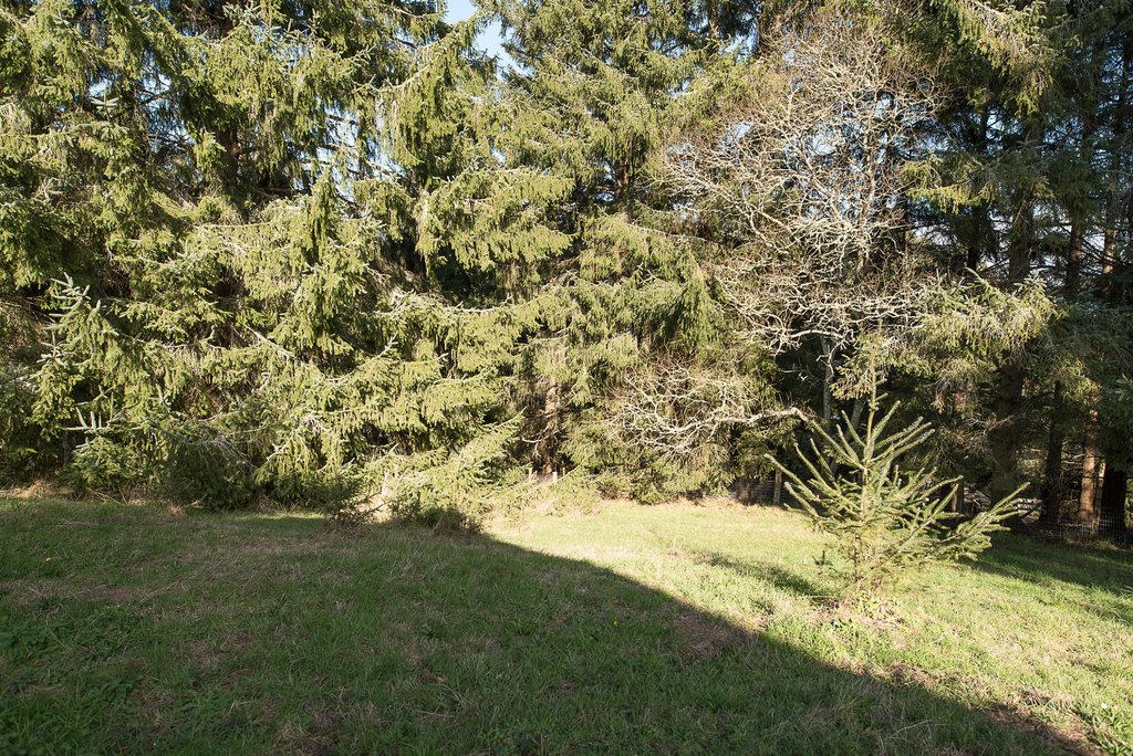 Picture 12