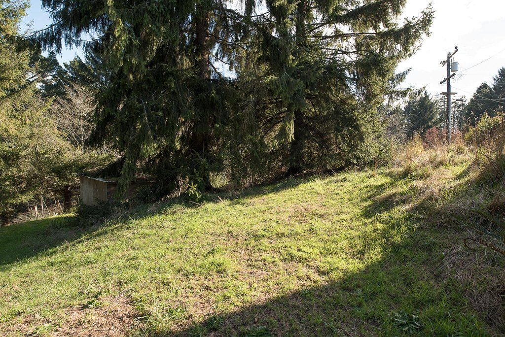 Picture 13