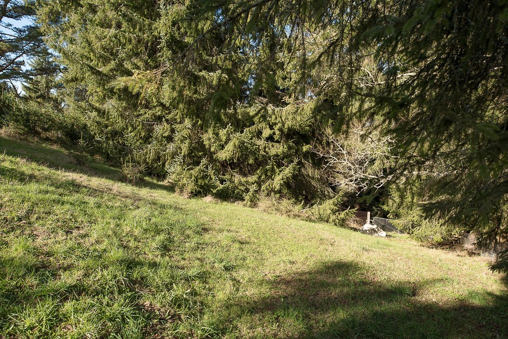 Picture 11