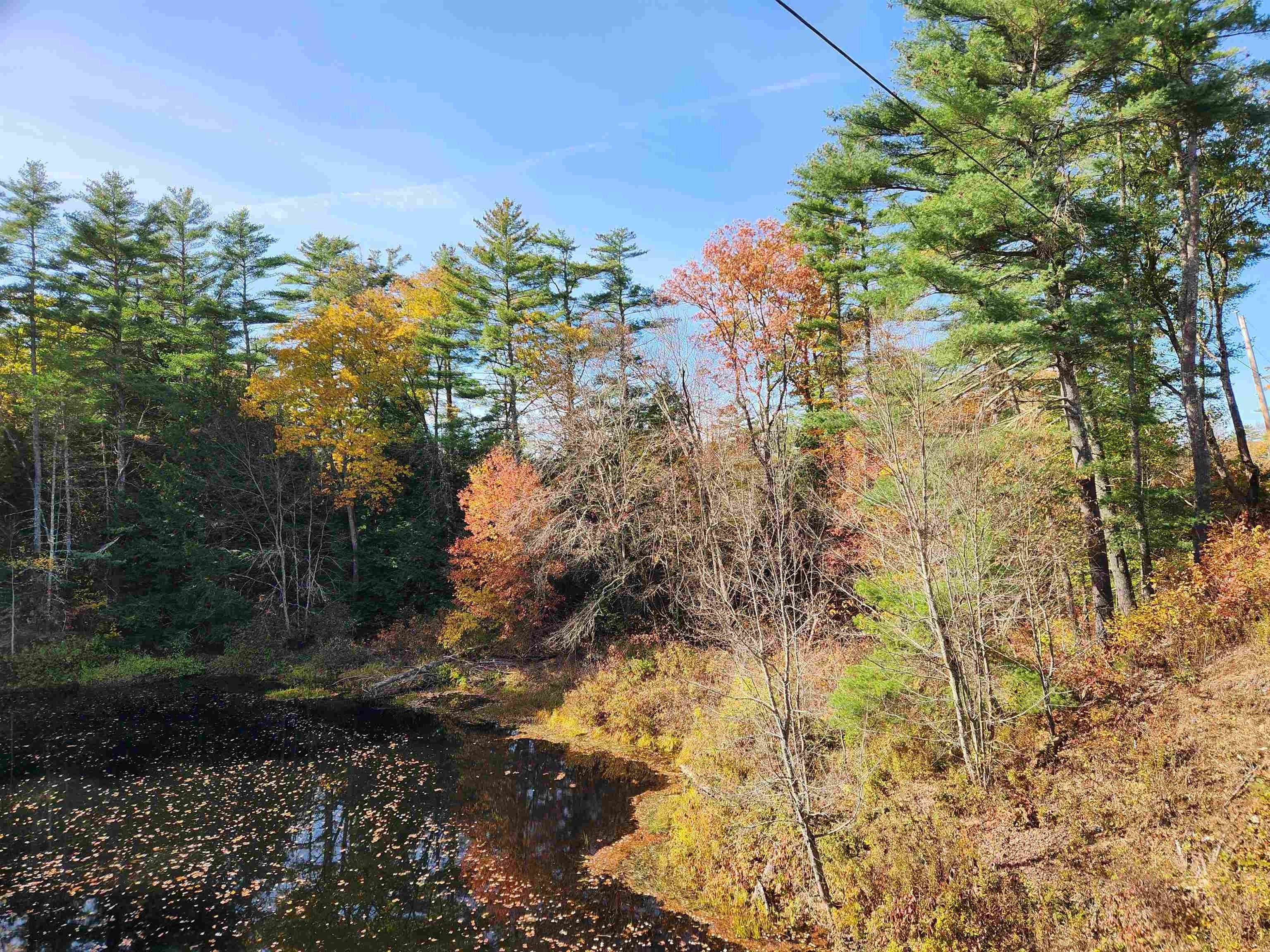 Loudon Land with River Frontage