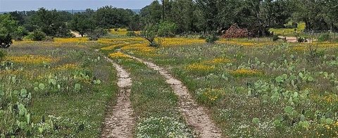 Land for Development and Recreation