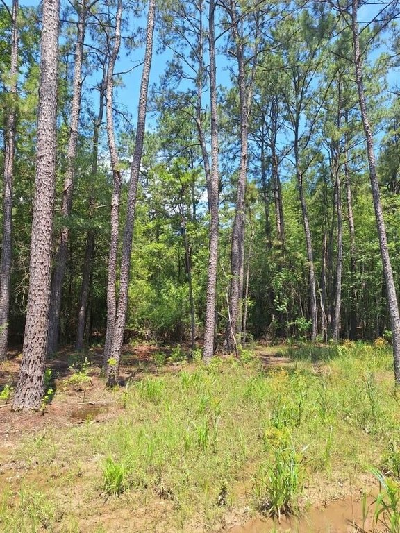 Picture 11