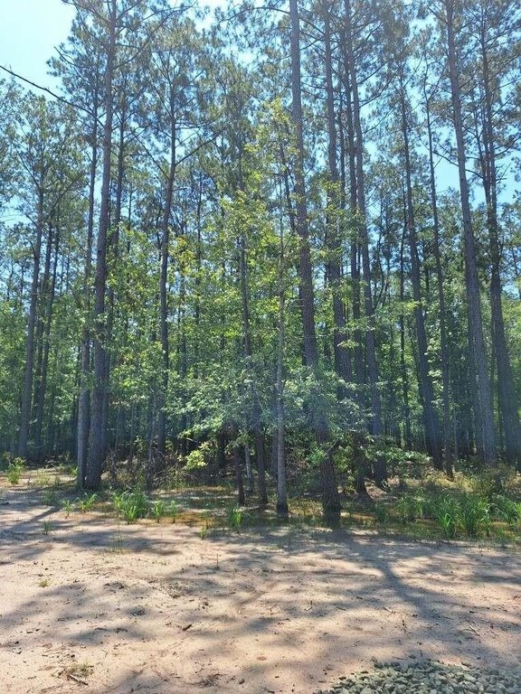 Picture 14