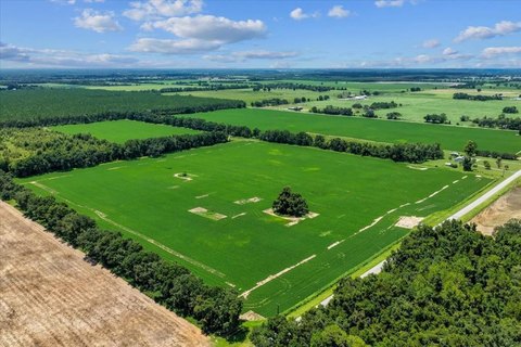 Cleared Land Parcel Near Chiefland