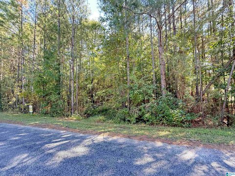 Odenville Land for Custom Home