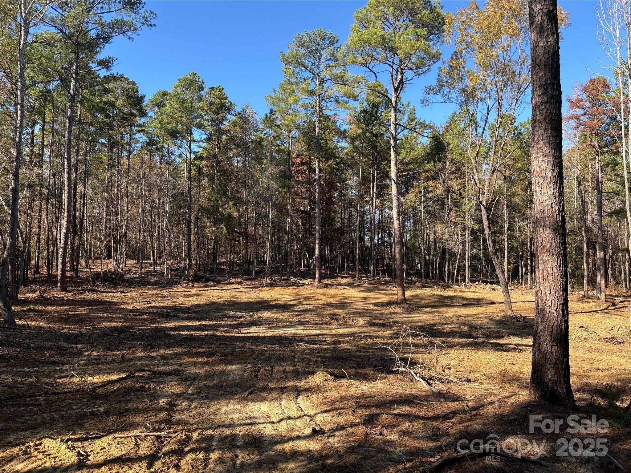 Residential Lot Near Golf Courses