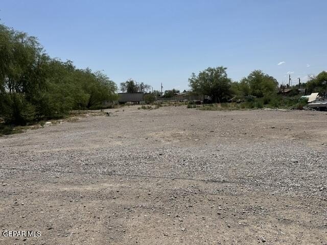 Picture 4